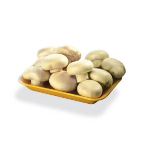 RECTANGULAR TRAY KM 621